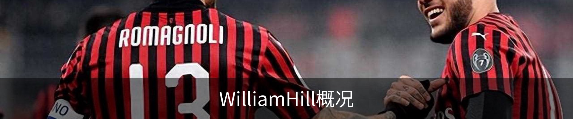 WilliamHill概况